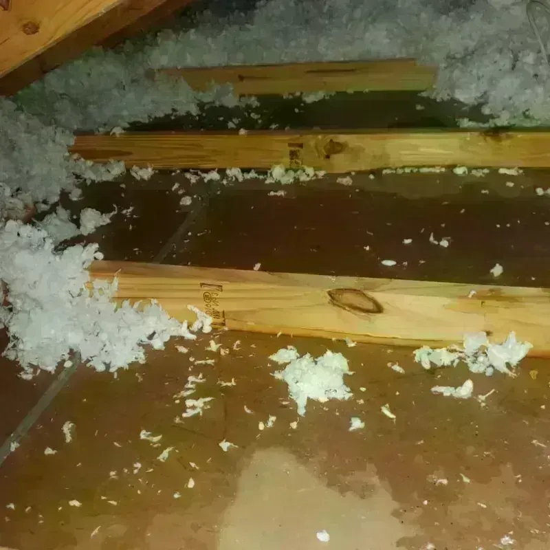 Attic Water Damage in Marlette, MI