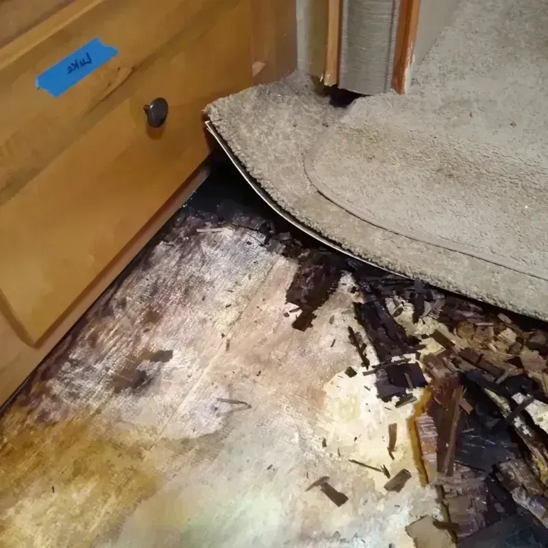 Wood Floor Water Damage in Marlette, MI